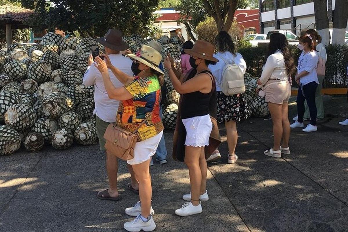 μια ομάδα ανθρώπων που στέκονται μπροστά από ένα σωρό ανανάδες