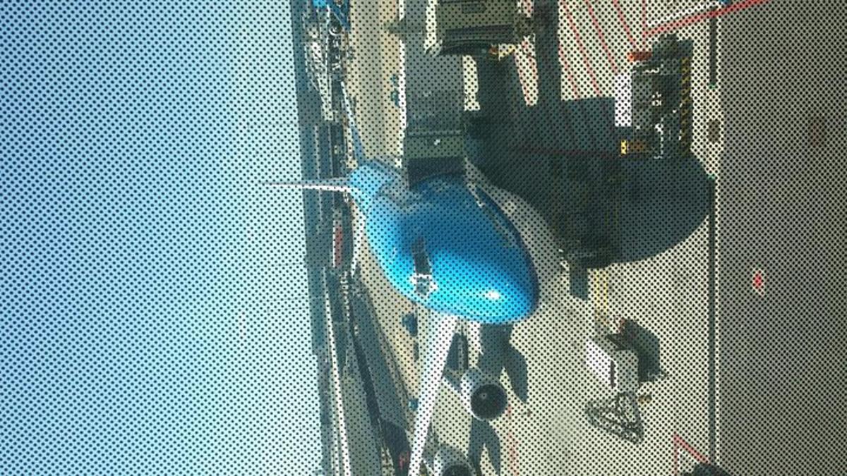 a blue bird sitting on a chain link fence