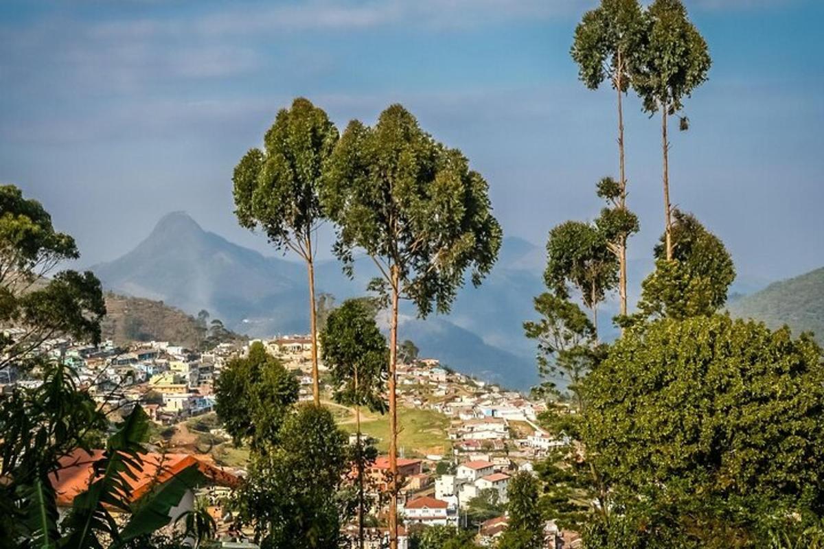 Fotografia da atração 2