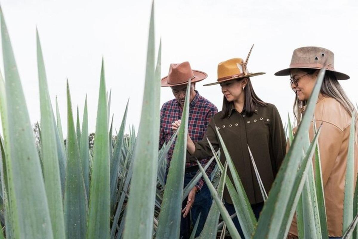 a group of people wearing cowboy hats standing in a field