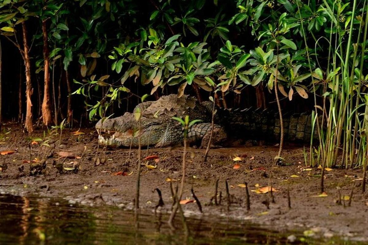 Fotografia da atração 6