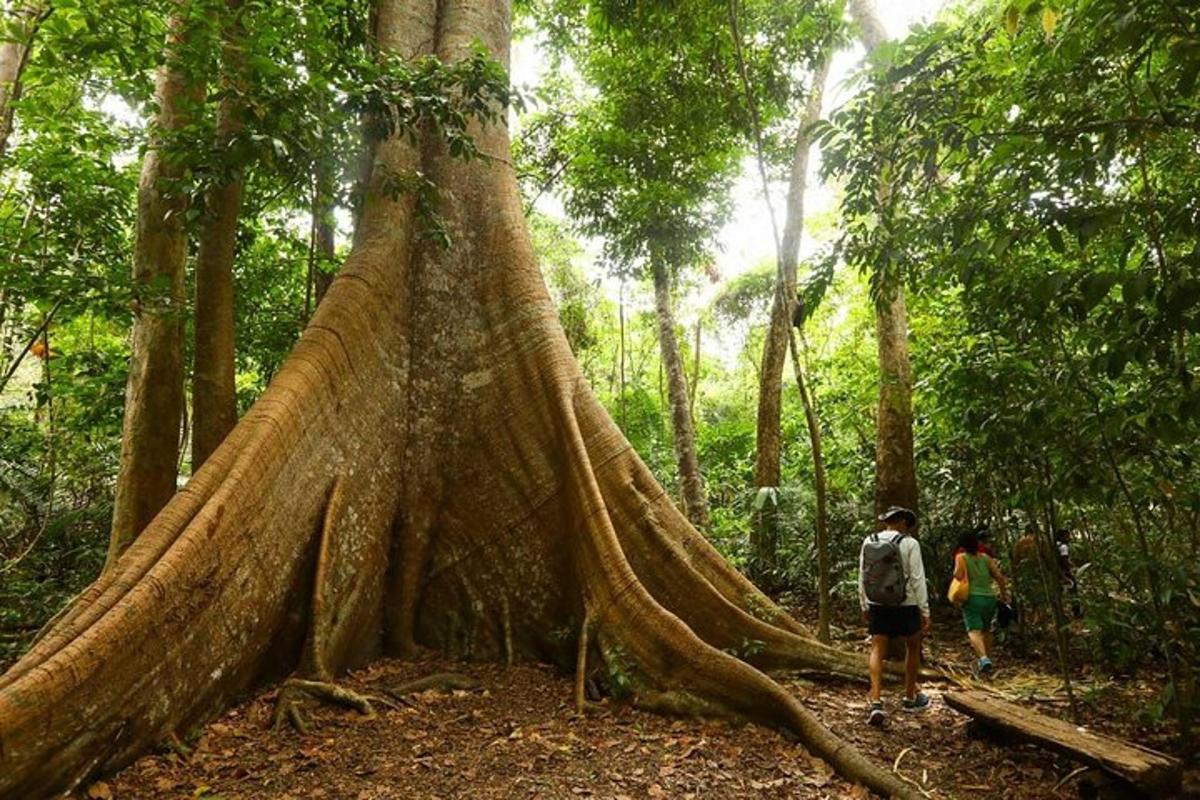 Ảnh thứ 3 về địa điểm tham quan