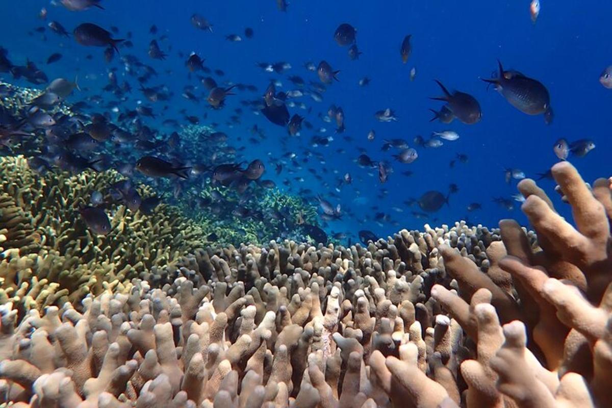 Fotografia da atração 7