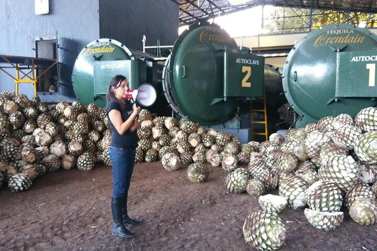naine seisab melonite hunniku ees