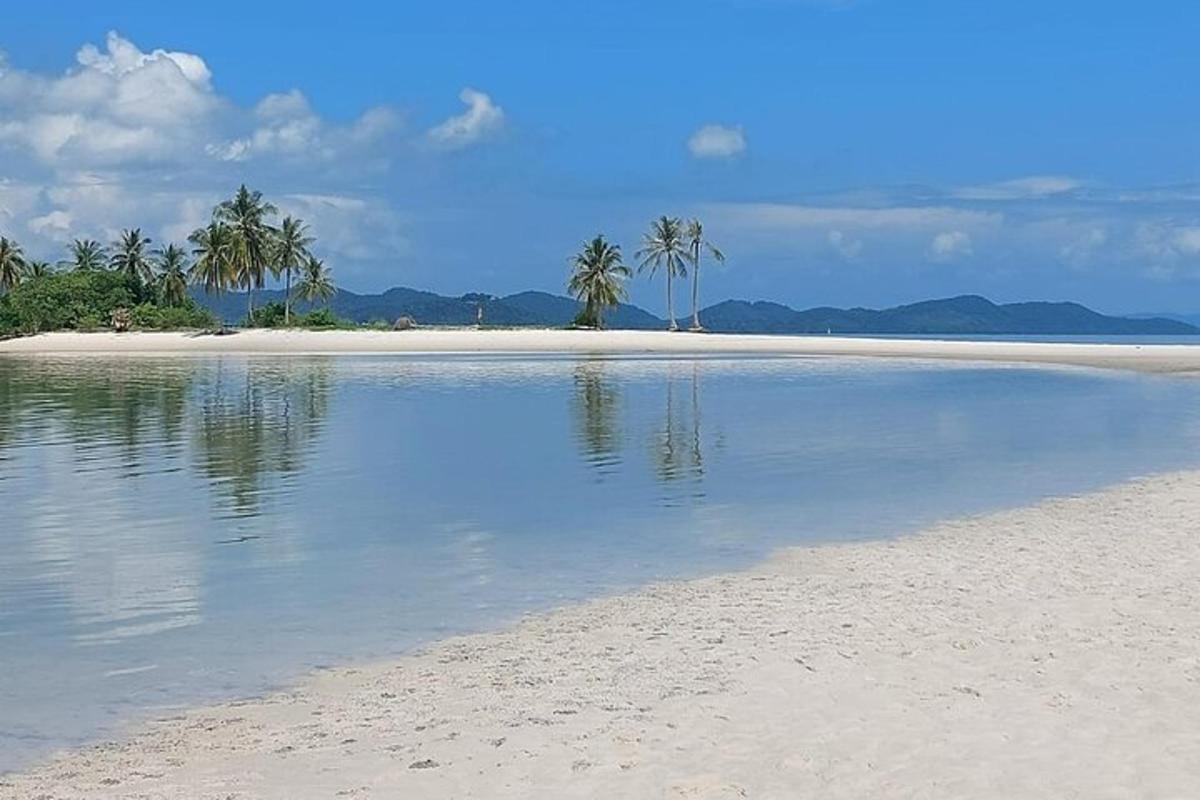 una spiaggia con palme e l'acqua