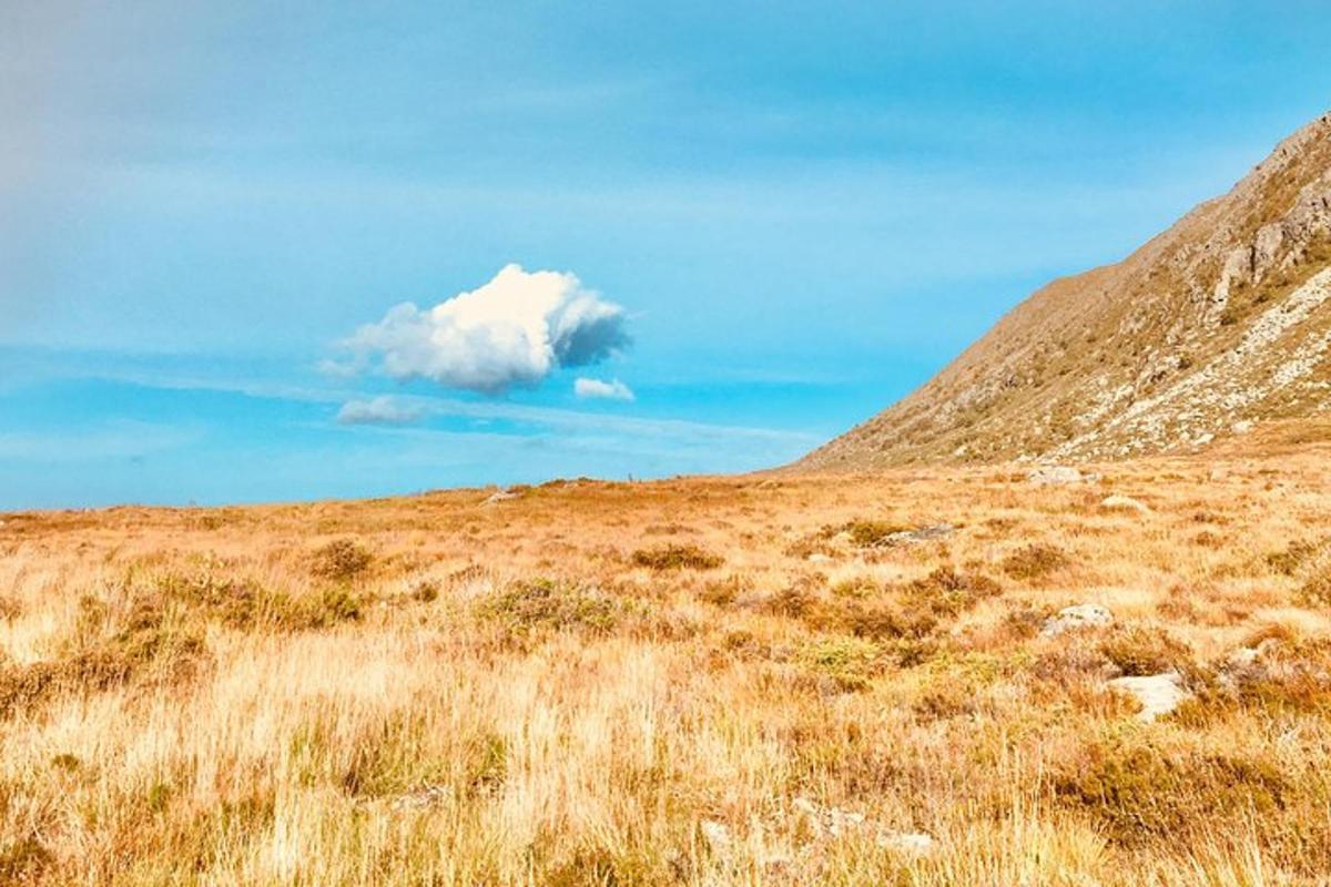 Lankytinos vietos ar pramogos nuotrauka numeris 2