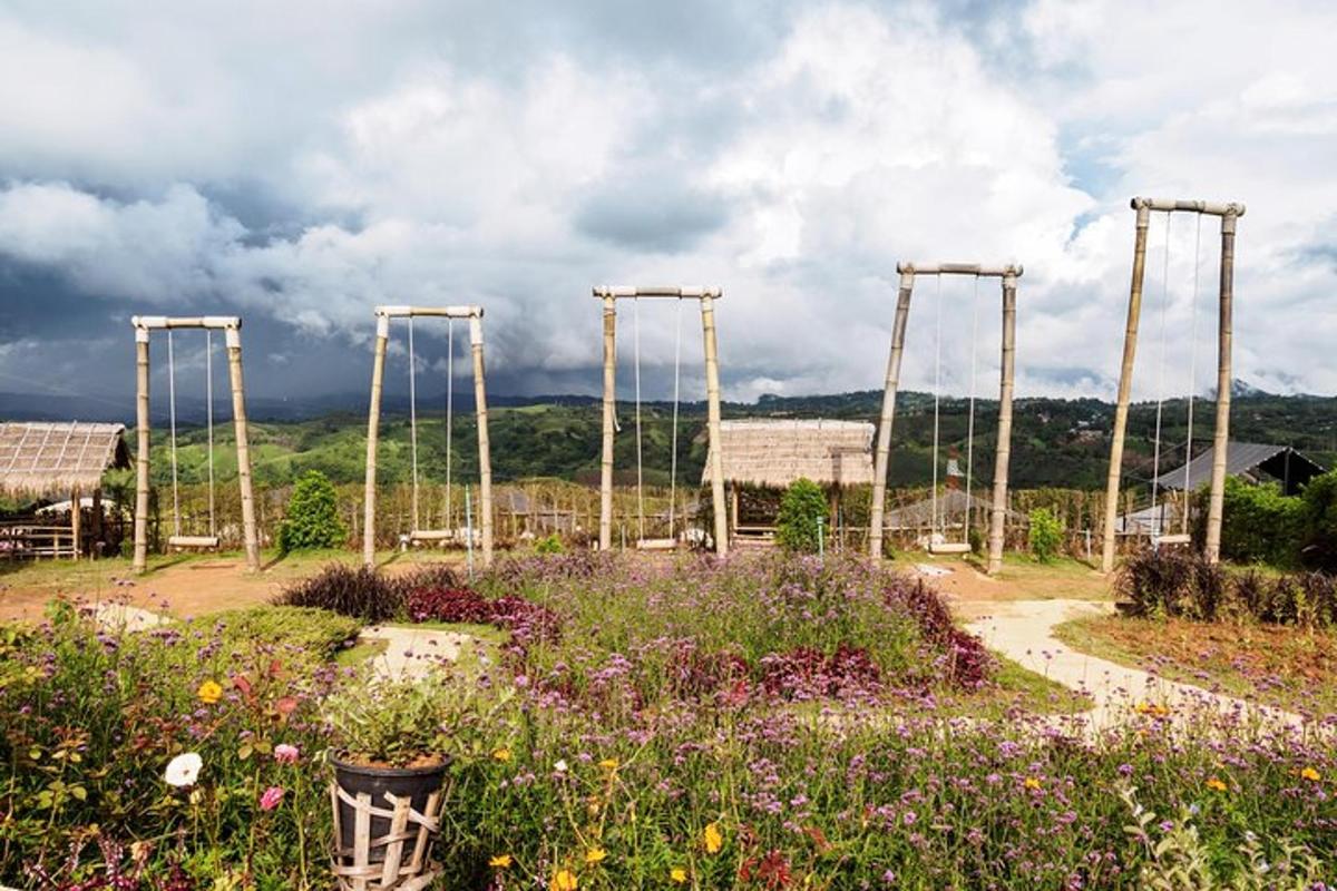 un giardino con un campo di fiori e montagne russe