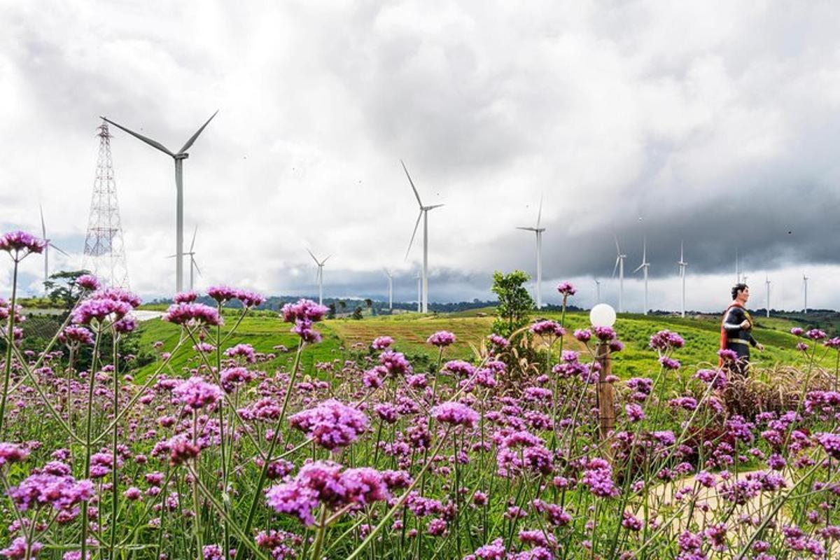 un campo di fiori con turbine eoliche sullo sfondo