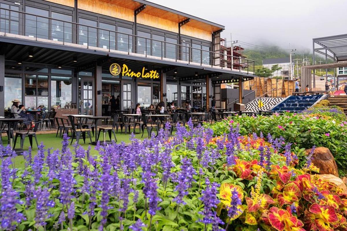 un giardino con fiori viola davanti a un ristorante