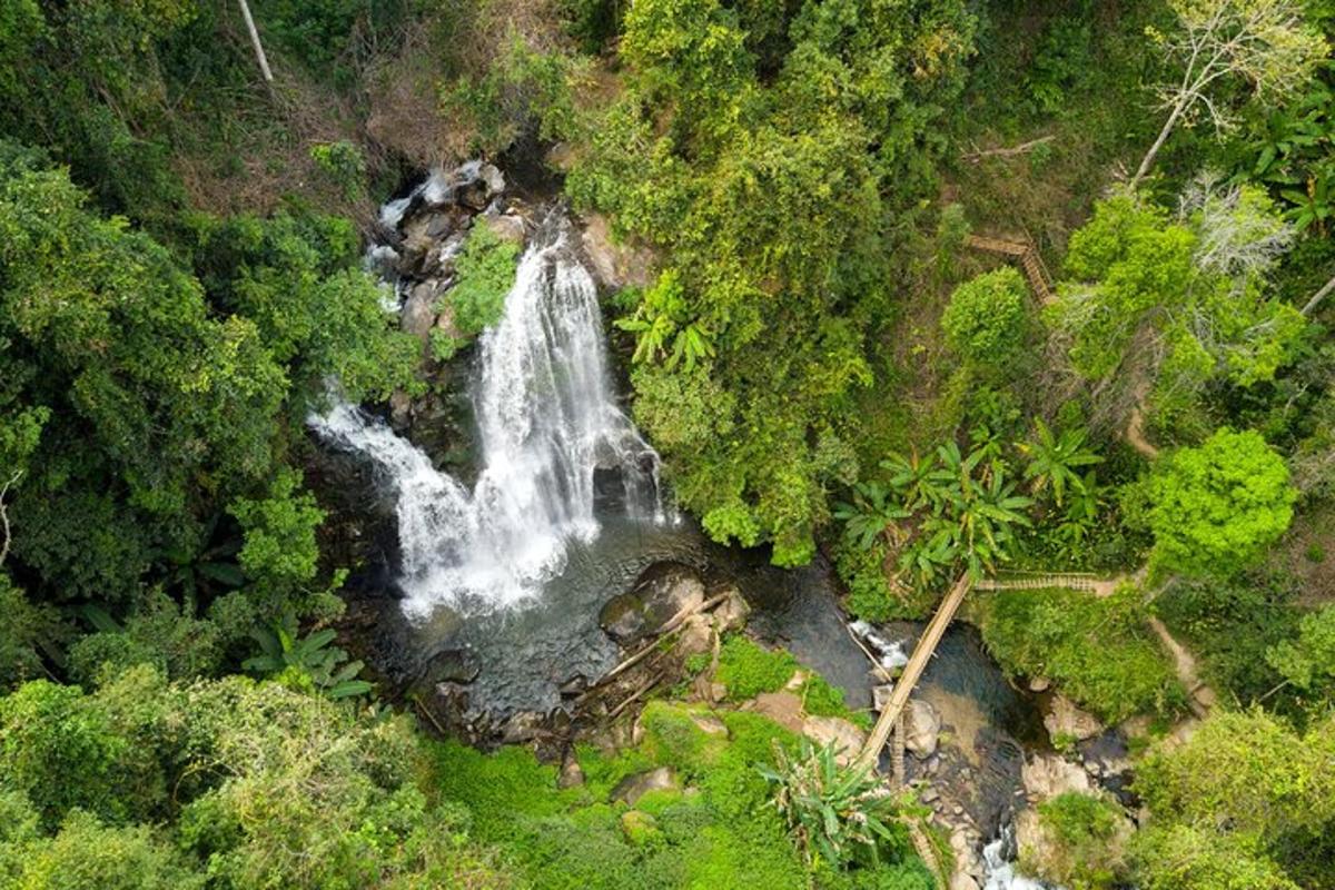 una vista aérea de una cascada en un bosque