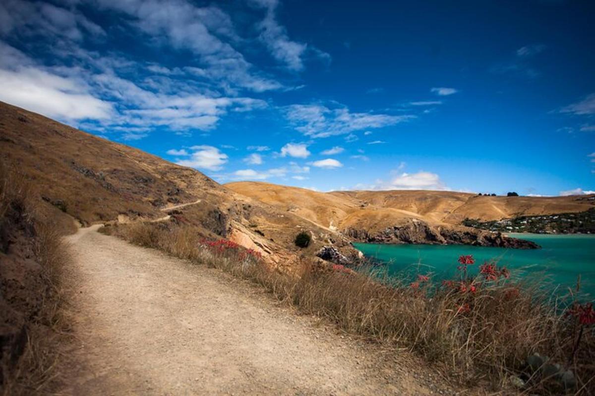 a dirt road next to a body of water