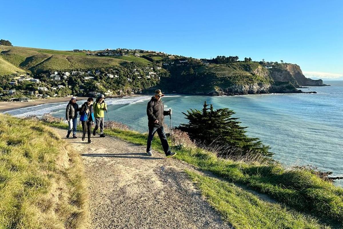 a group of people walking on a path near the ocean