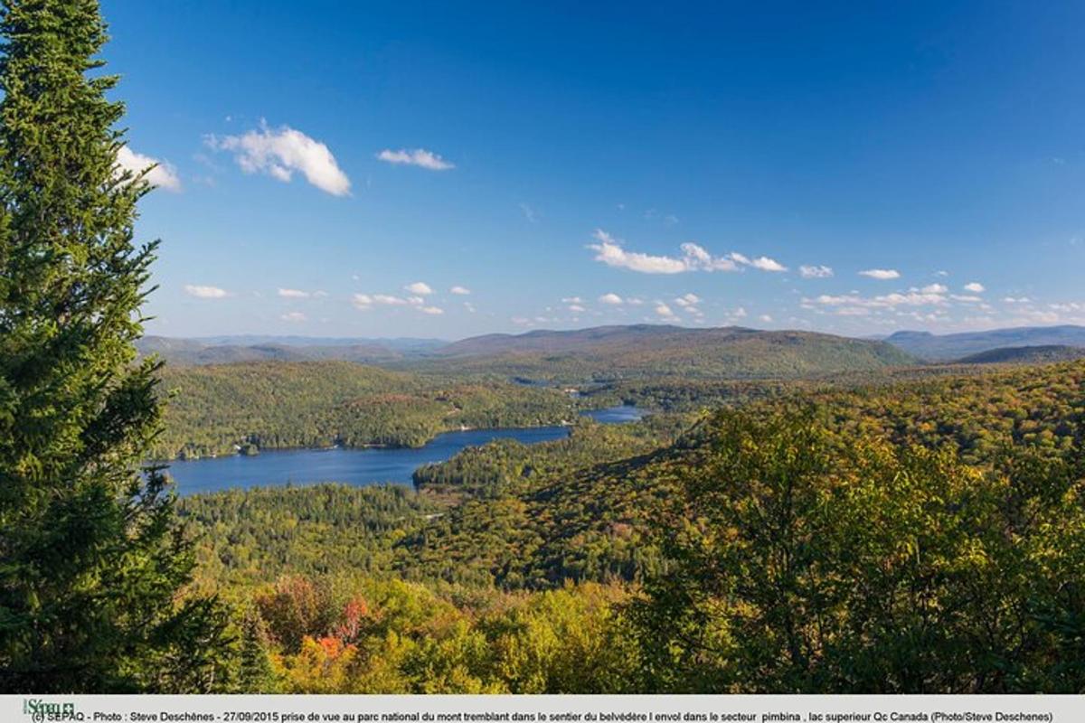 a view of a lake in the middle of a forest