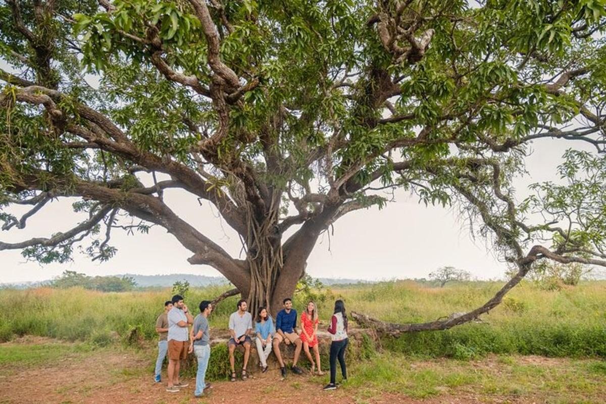 Fotografia da atração 5