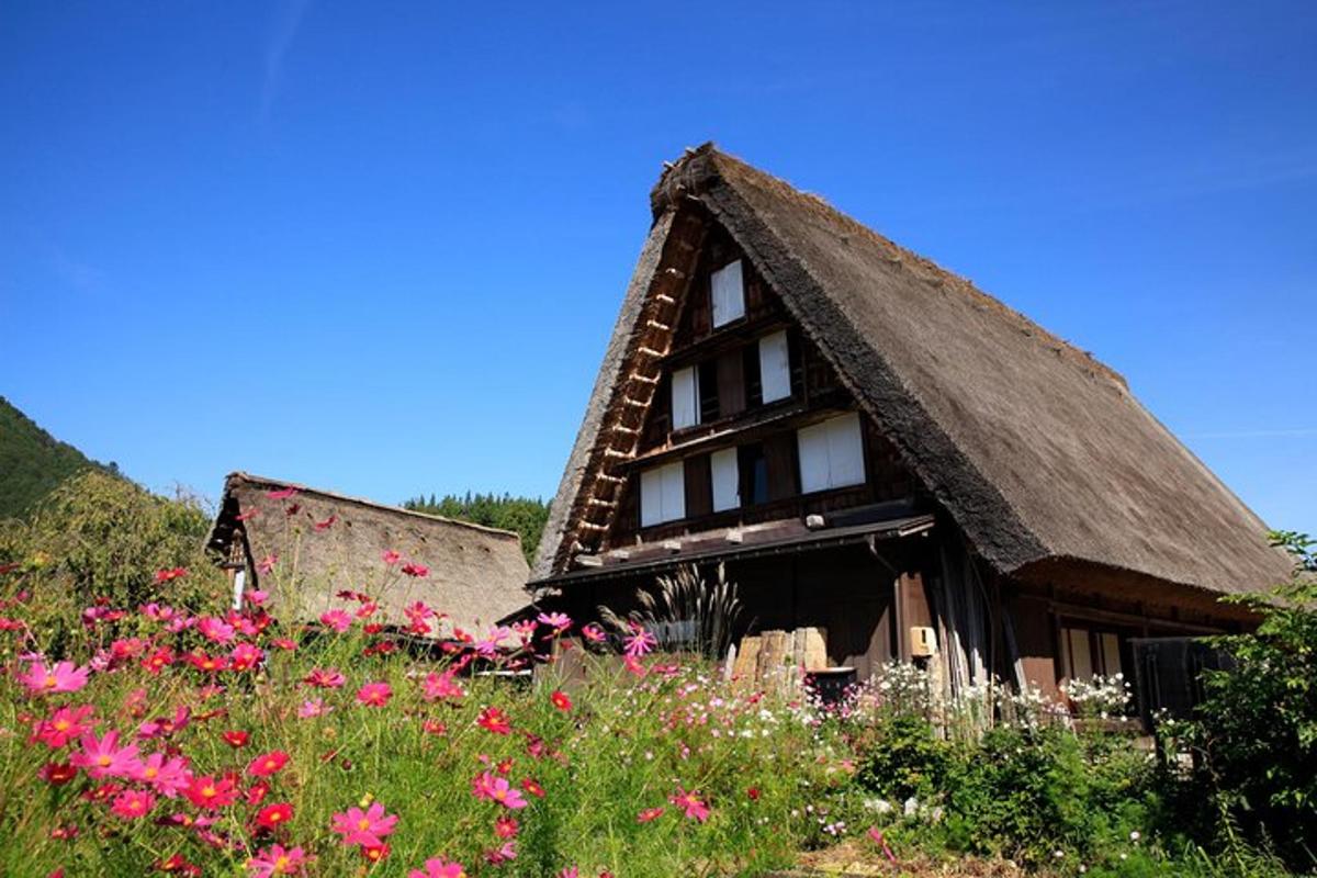 a house with a thatched roof in a field of flowers