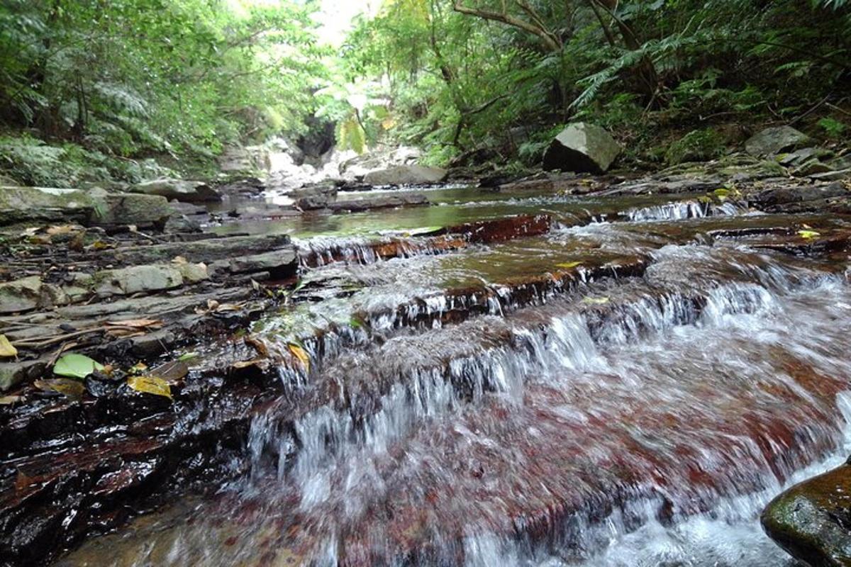 a stream of water flowing down a rocky river