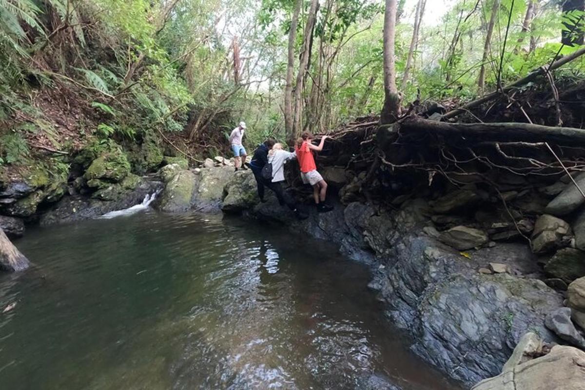 a group of people standing on rocks near a stream