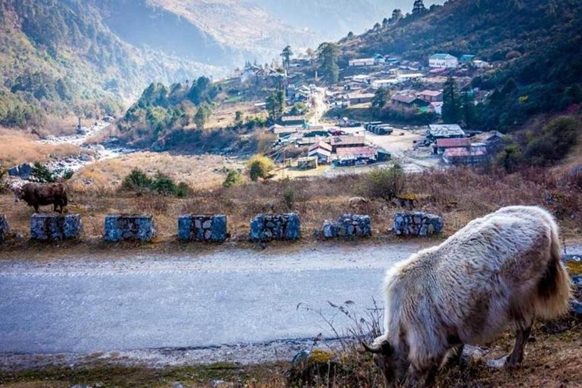 Fotografia da atração 4