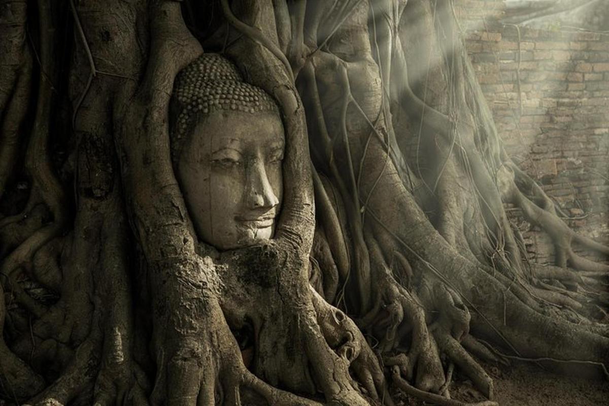una estatua enredada en las raíces del árbol