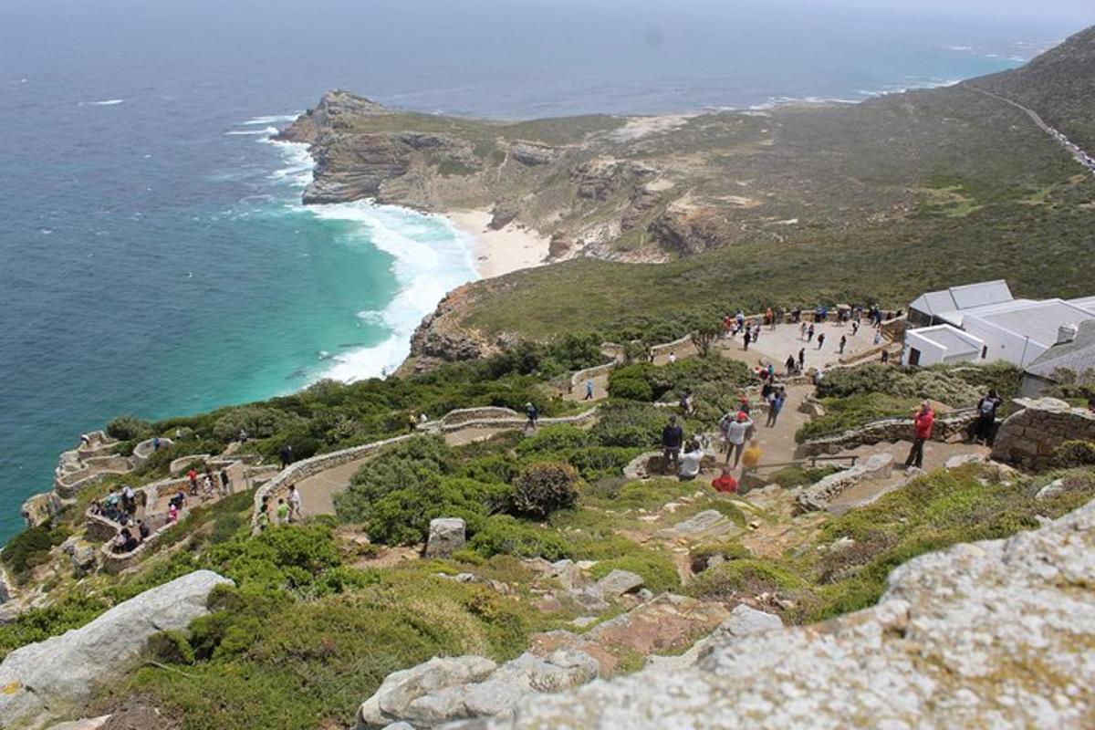 a group of people standing on the edge of a beach