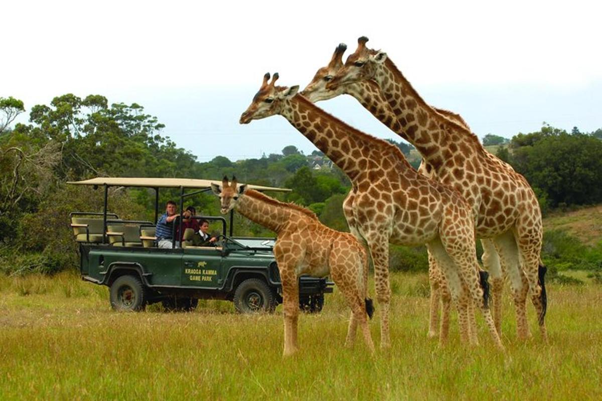 Fotografia da atração 2