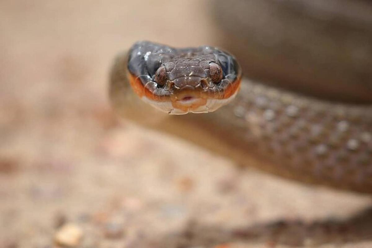 Fotografia da atração 6