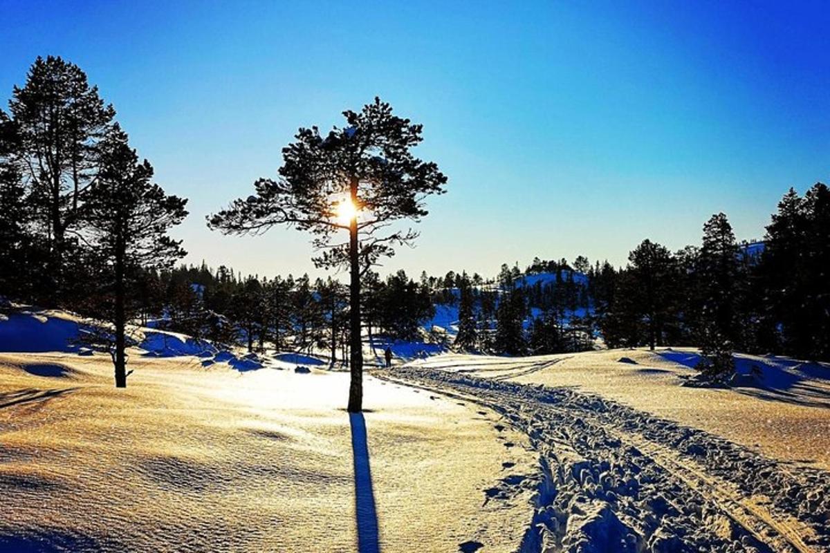 Bilde 2 av attraksjonen