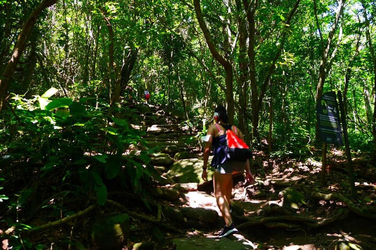 uma mulher caminhando por uma trilha em uma floresta