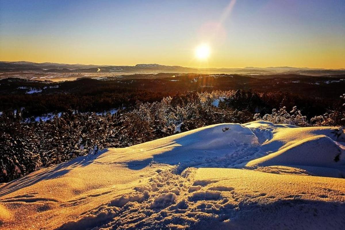 Bilde 3 av attraksjonen