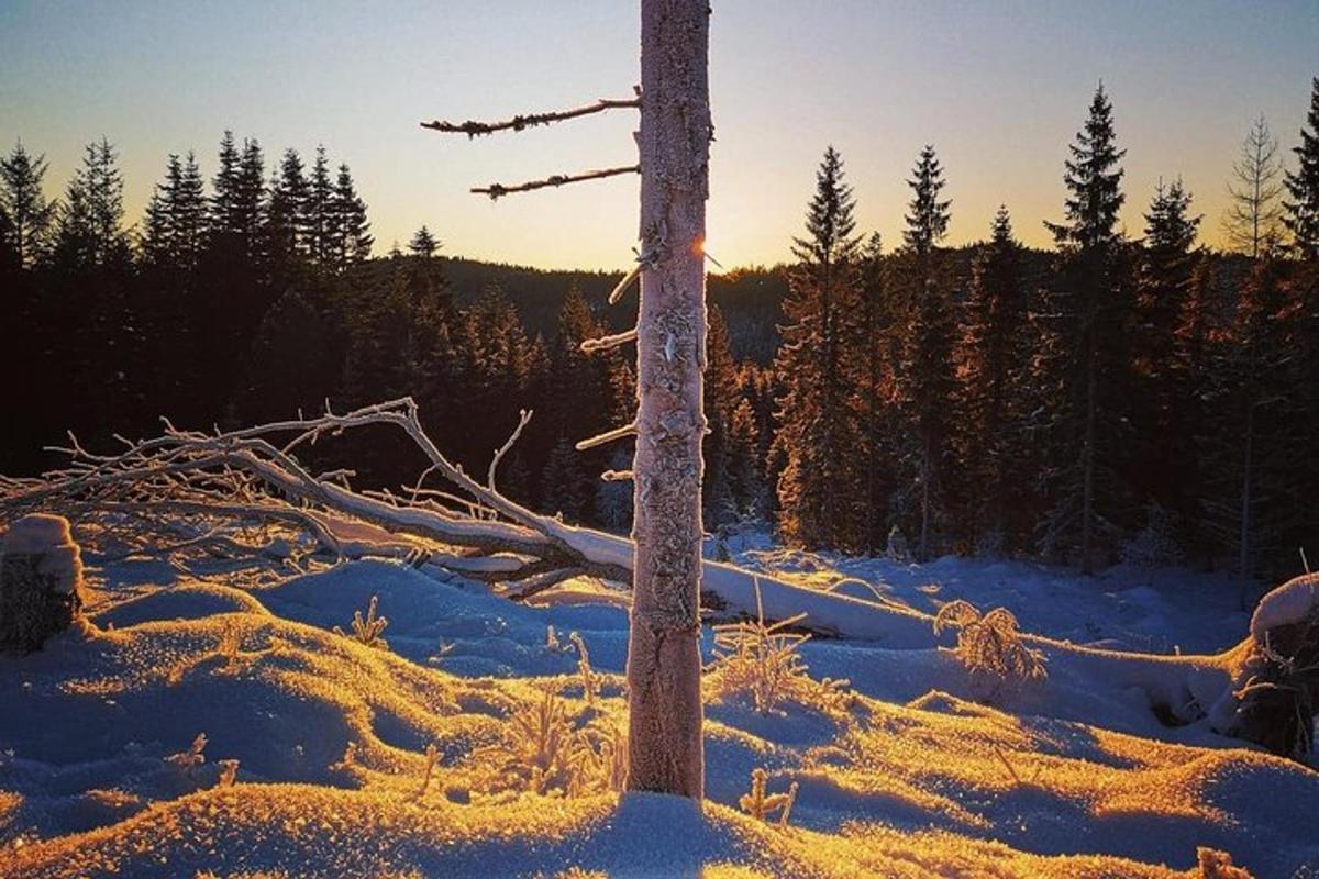 Bilde 4 av attraksjonen