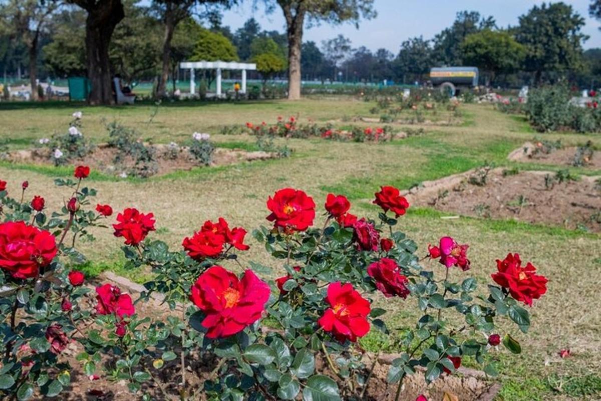 Turistik nokta fotoğrafı 1