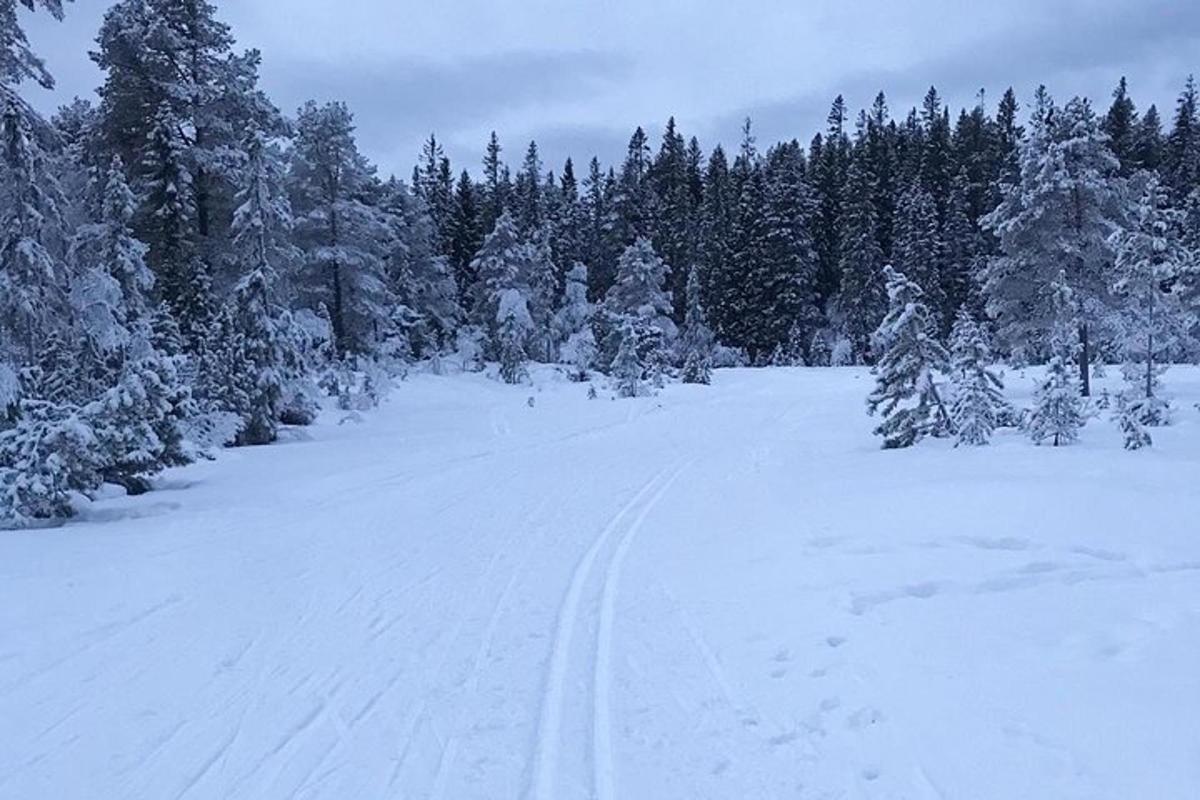 Nähtävyyskuva 5.