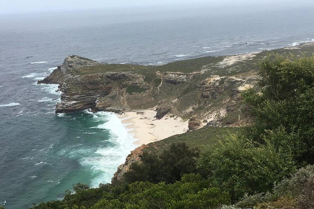 an aerial view of a beach on the ocean