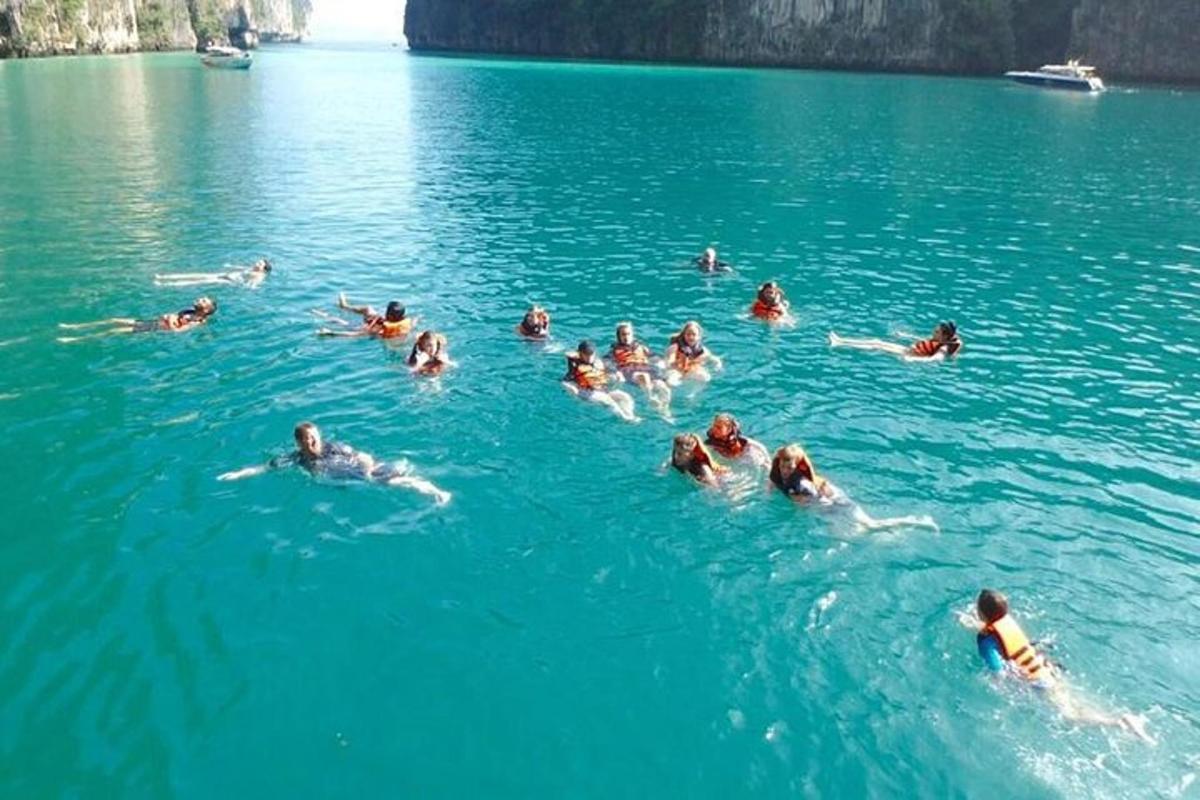 un grupo de personas nadando en un cuerpo de agua