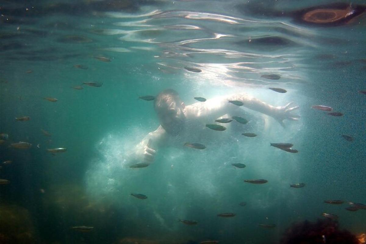 Fotografia da atração 7