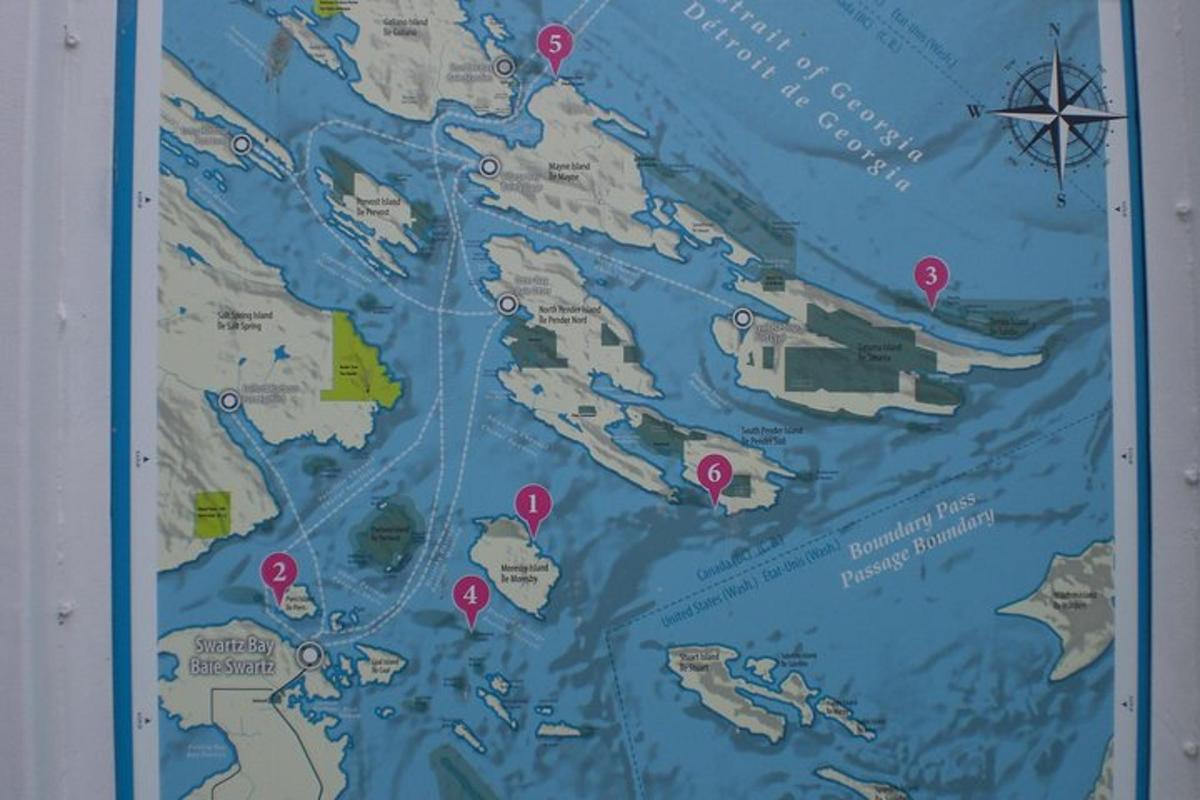 Un mapa de la isla de Hawái con alfileres rojos.
