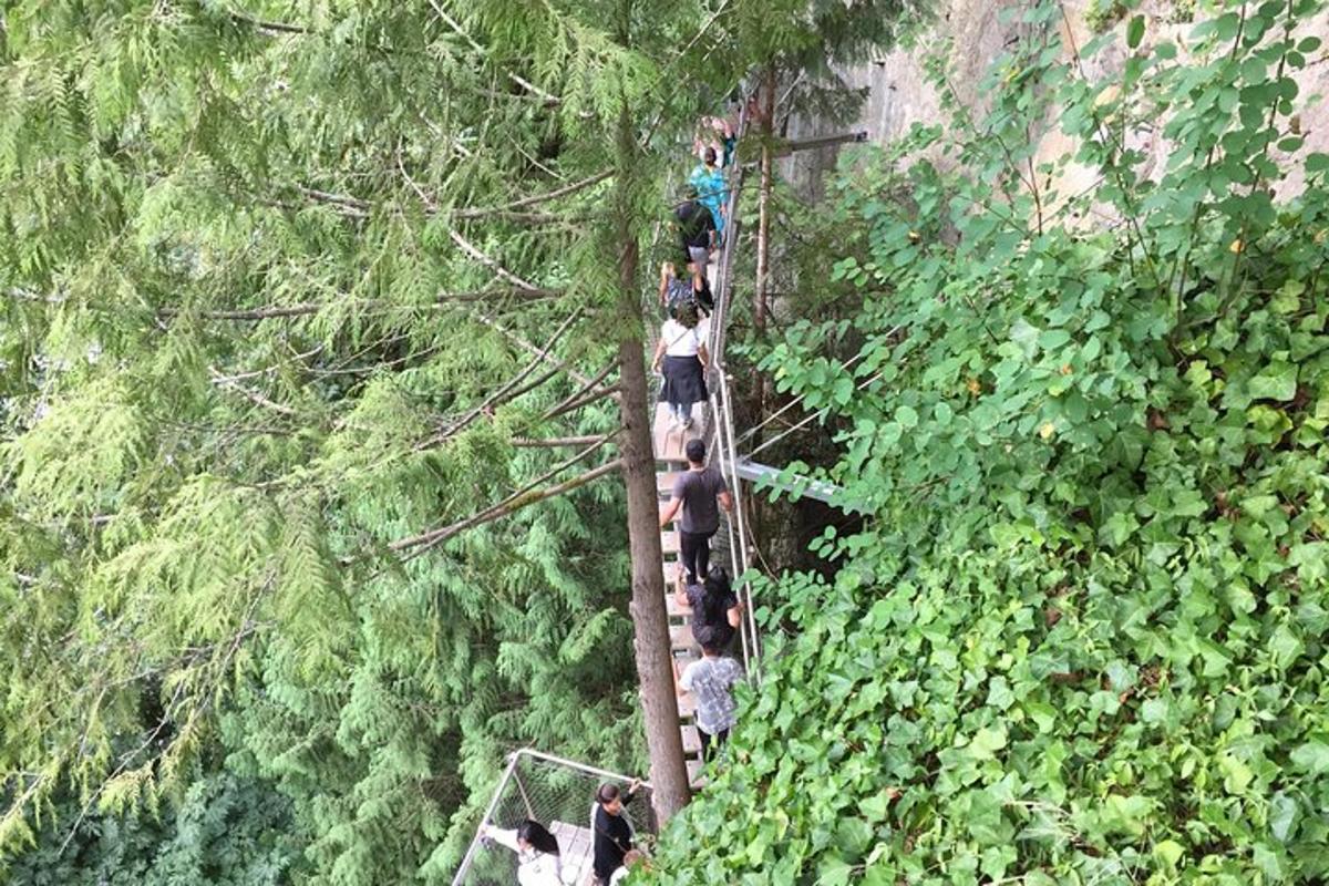 grupp inimesi metsas rippsillal