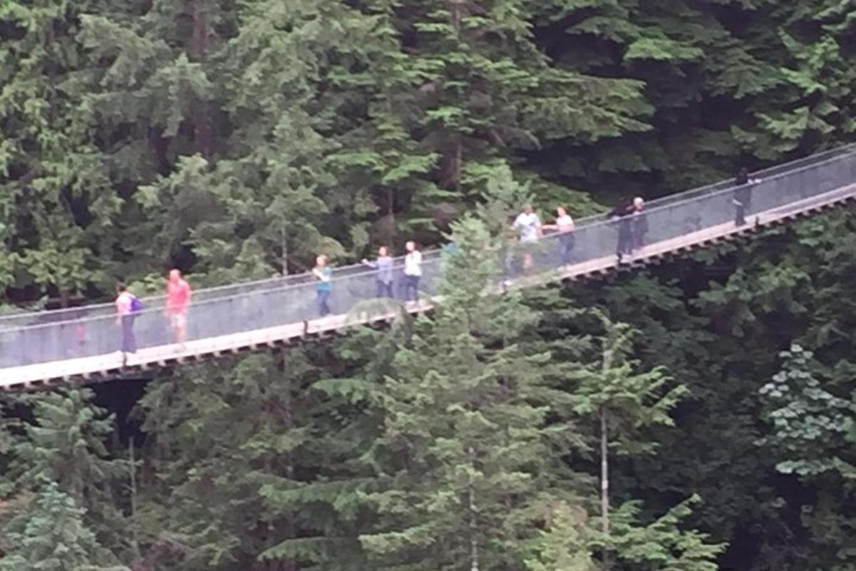 grupp inimesi, kes kõnnivad metsas üle silla