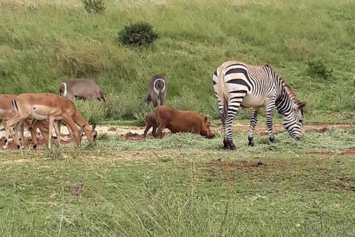 Foto 6 da atração