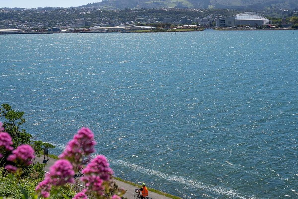 a view of a large body of water with pink flowers