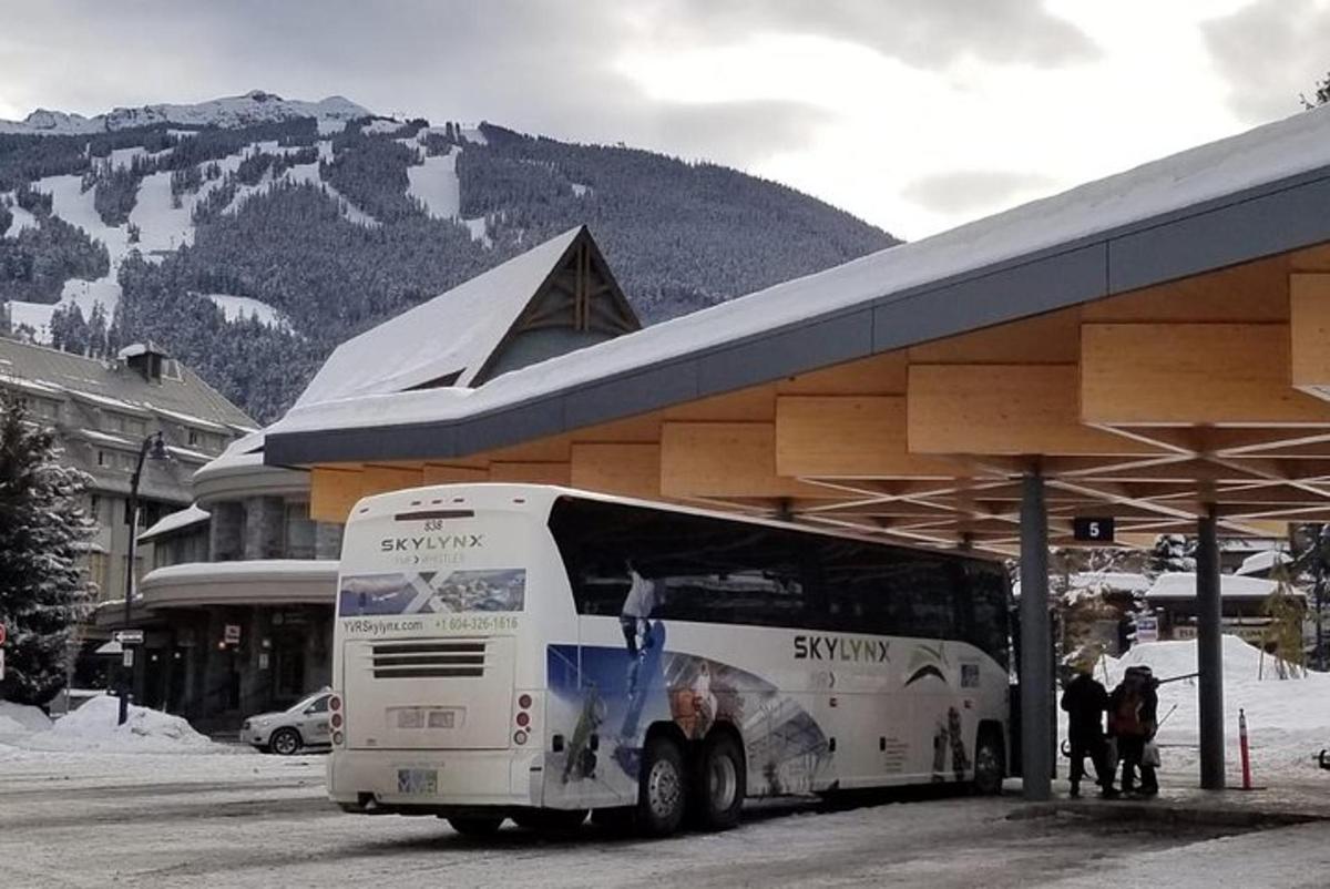 un autobus bianco parcheggiato a una fermata dell'autobus