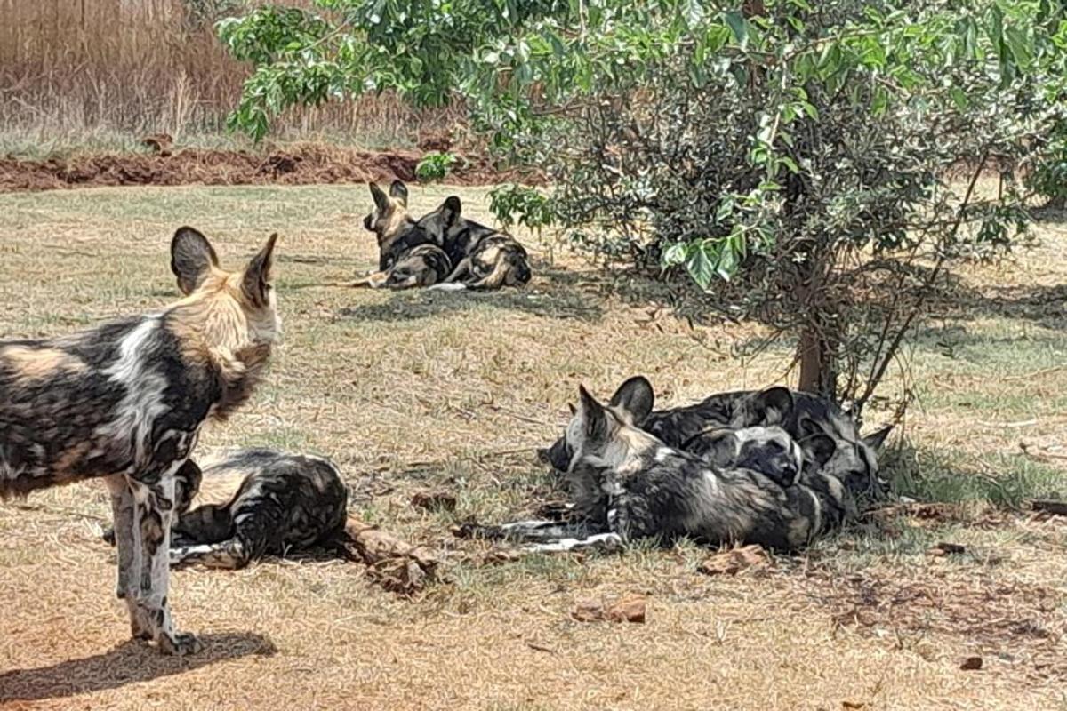 Φωτογραφία αξιοθέατου 3