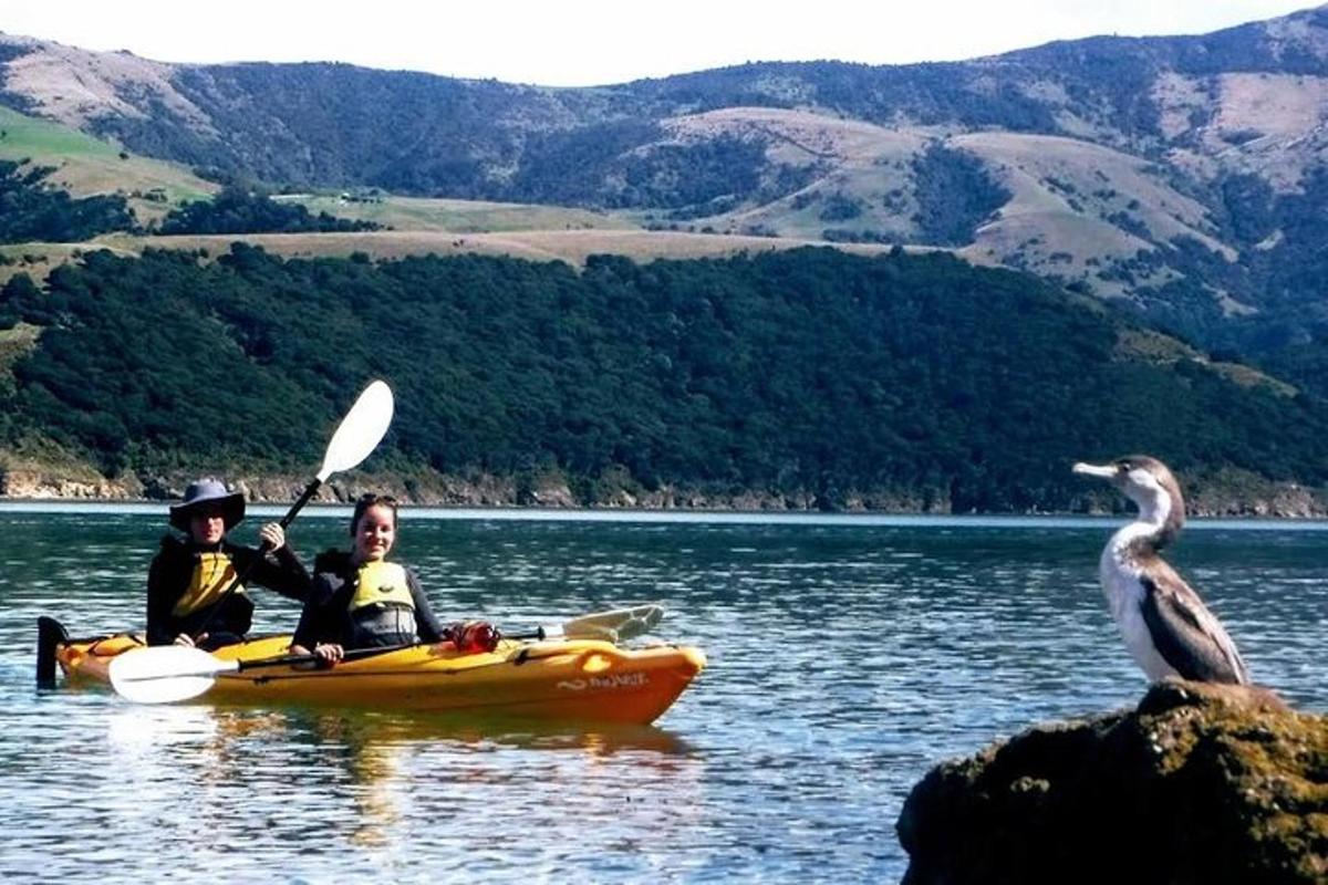 Fotografia da atração 7