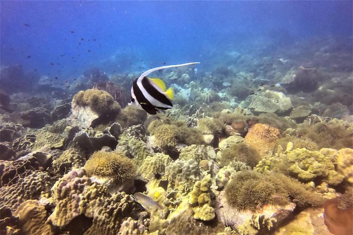 Lankytinos vietos ar pramogos nuotrauka numeris 3