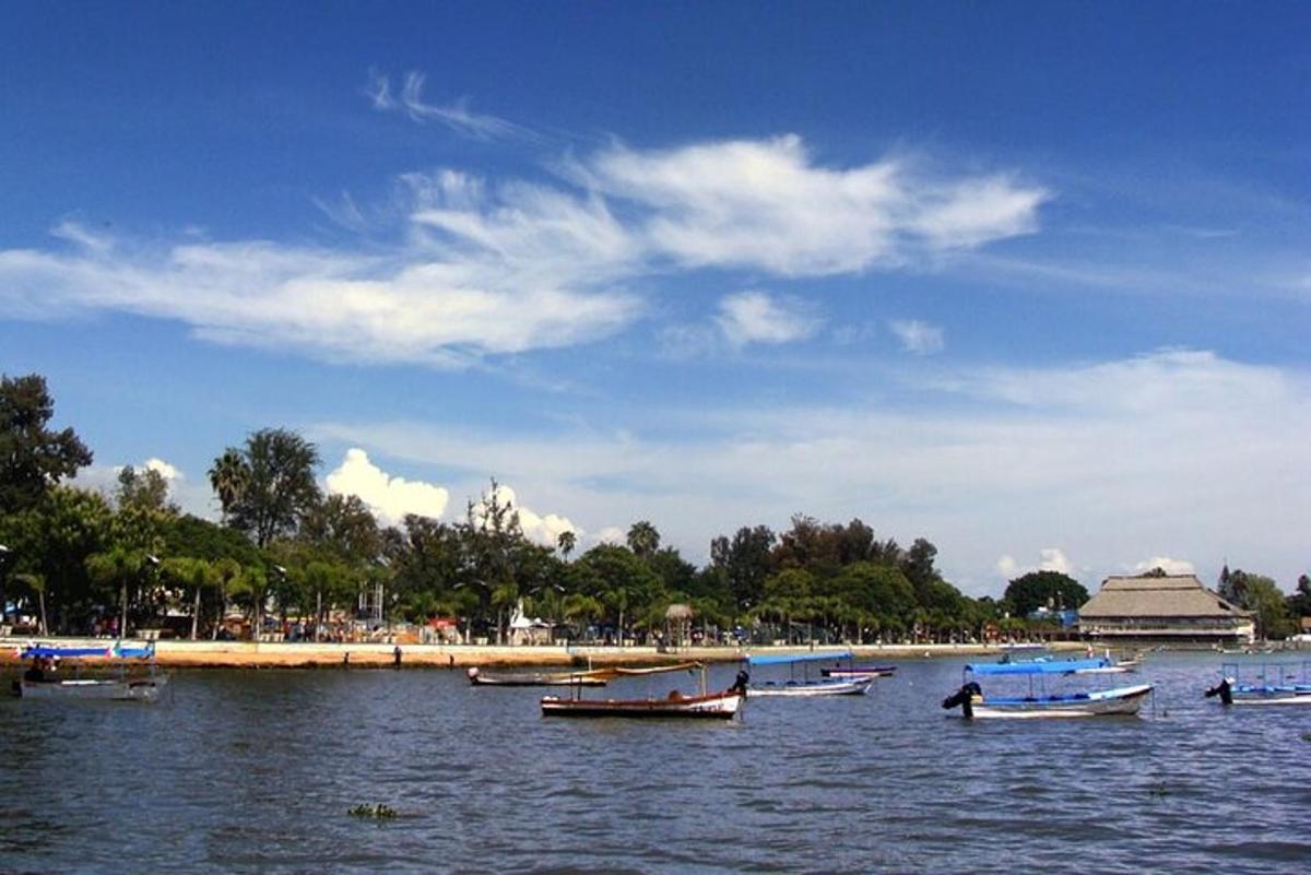 isang grupo ng mga bangka sa tubig malapit sa isang beach