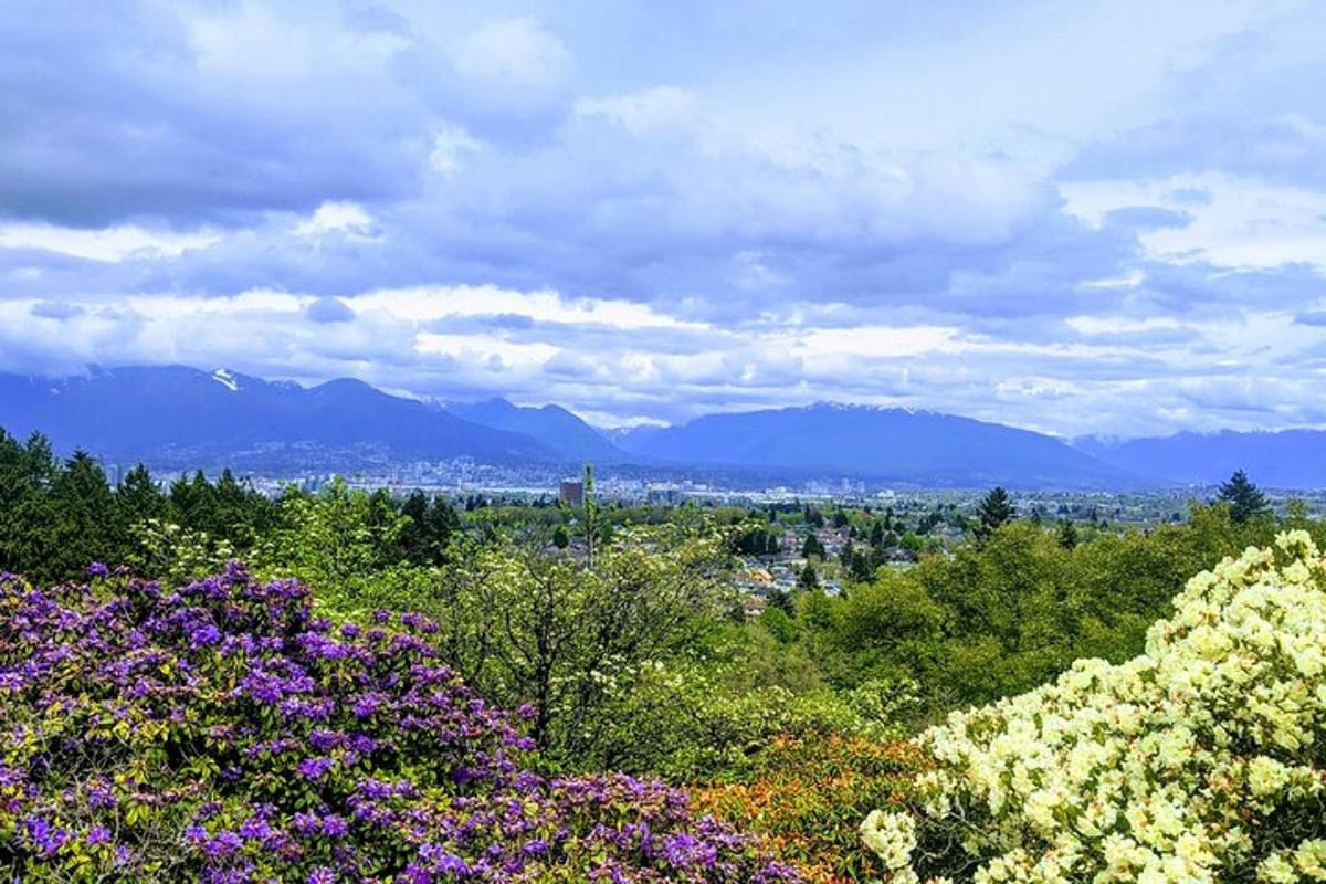 uma vista de uma cidade com montanhas e flores