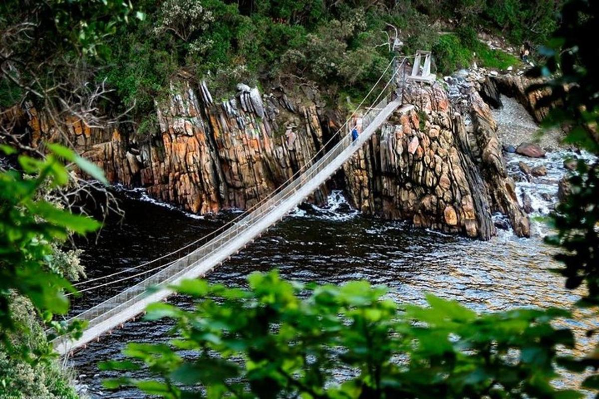 jambatan di atas sungai dengan seseorang di atasnya