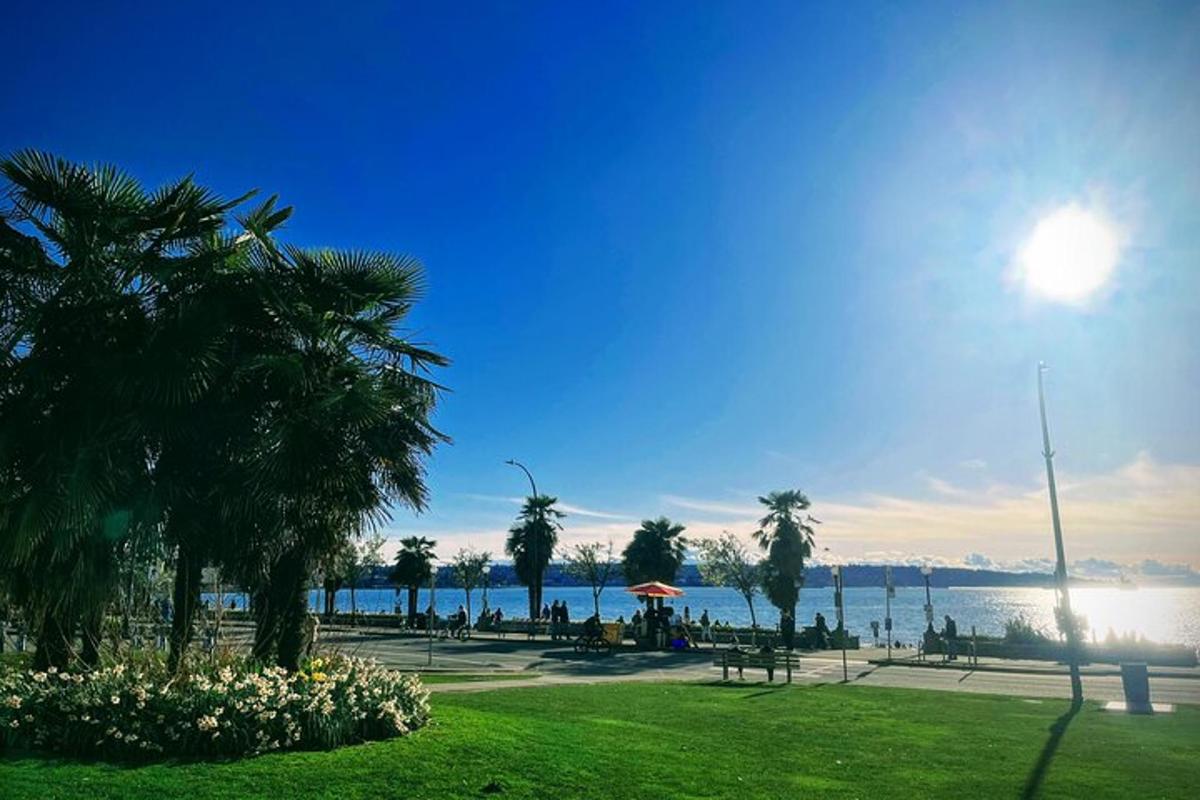 a park with palm trees and a body of water