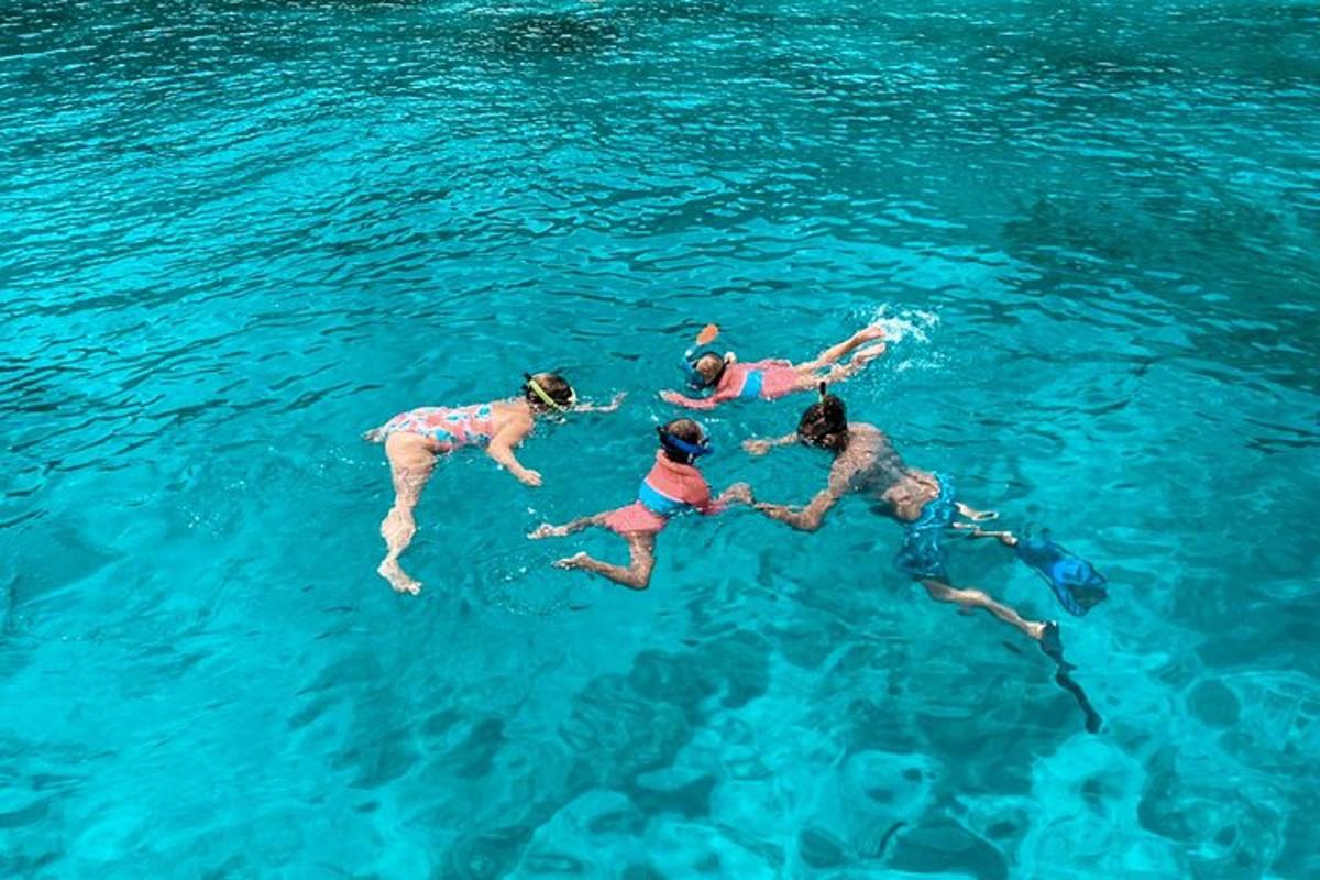 un gruppo di persone che nuotano nell'acqua
