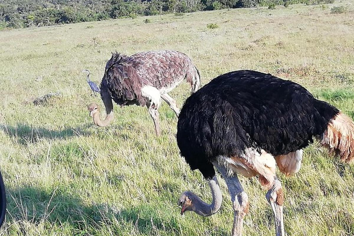 Turistik nokta fotoğrafı 4